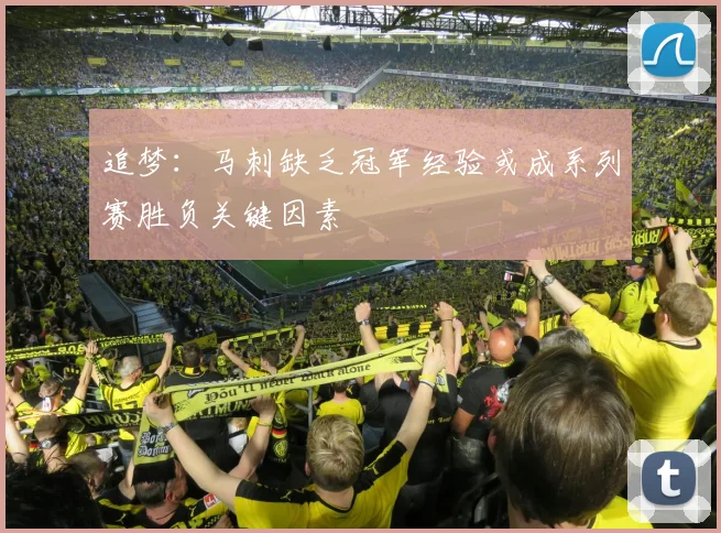 追梦：马刺缺乏冠军经验或成系列赛胜负关键因素