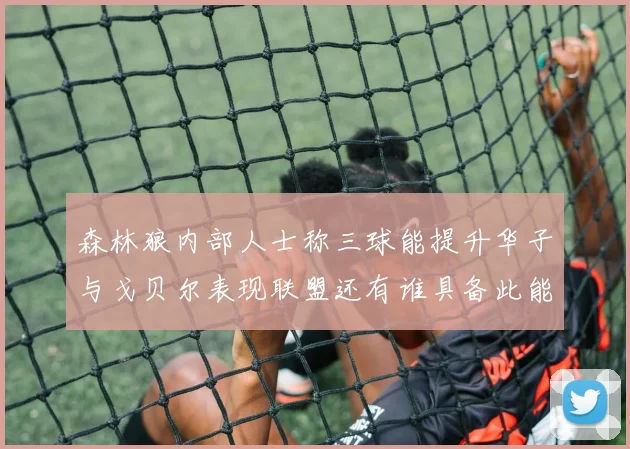 森林狼内部人士称三球能提升华子与戈贝尔表现联盟还有谁具备此能力