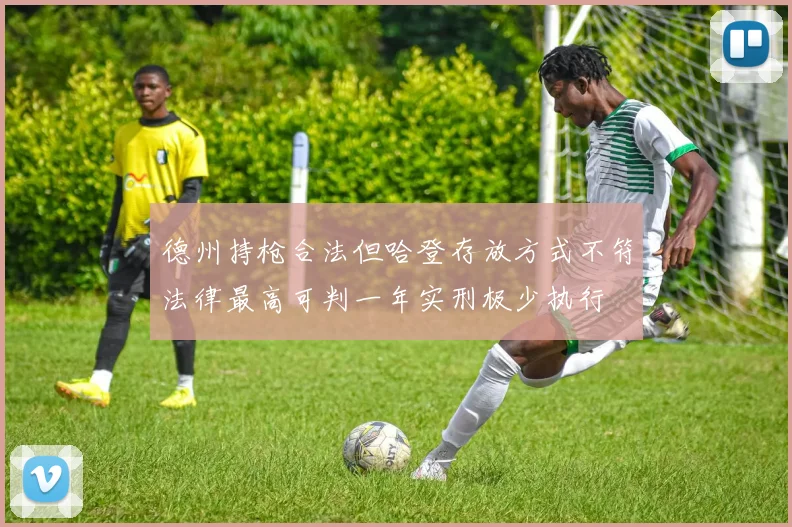 德州持枪合法但哈登存放方式不符法律最高可判一年实刑极少执行